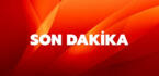 Köydeki Ağacın